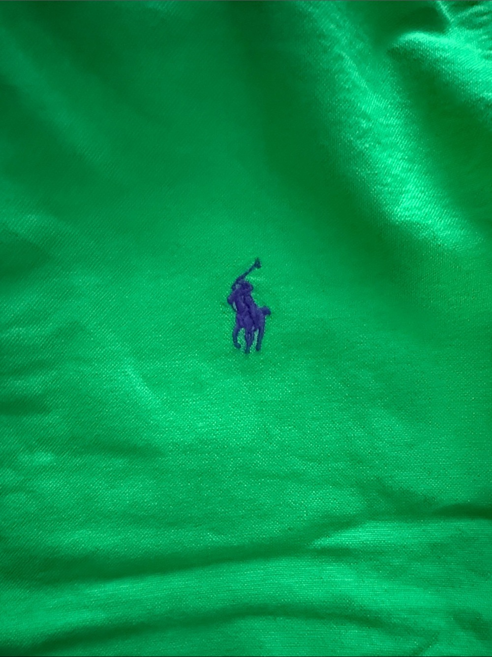 Polo by Ralph Lauren Bright Green Button-Down Oxford Shirt - Picture 4 of 5